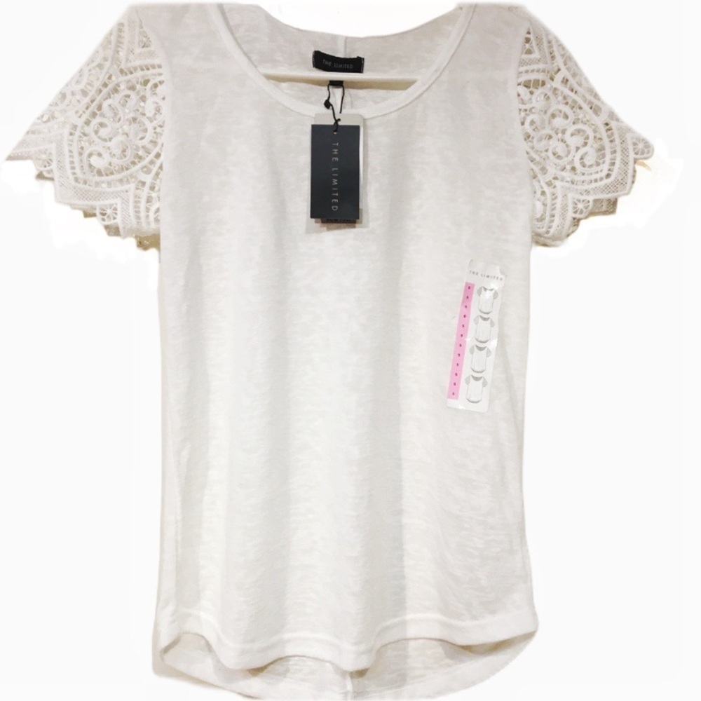 The Limited Lace Sleeve Top Romantic Coquette Cottage Ballet Coastal Size S NWT